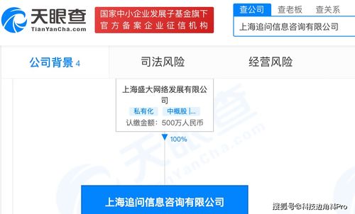 盛大網絡再落子 成立上海追問信息咨詢公司，注冊資本500萬元深耕信息咨詢服務